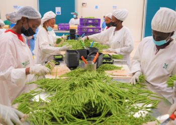 Ibyoherezwa hanze y’u Rwanda byagabanutseho 12.5%