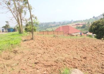 Kigali – Ubuyobozi bwatereranye abaturage barimo gupfa ubutaka